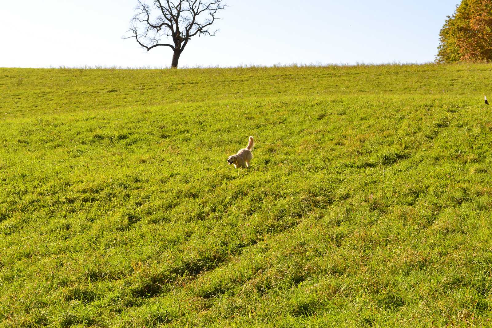 Seminar Jörg 19.10 012